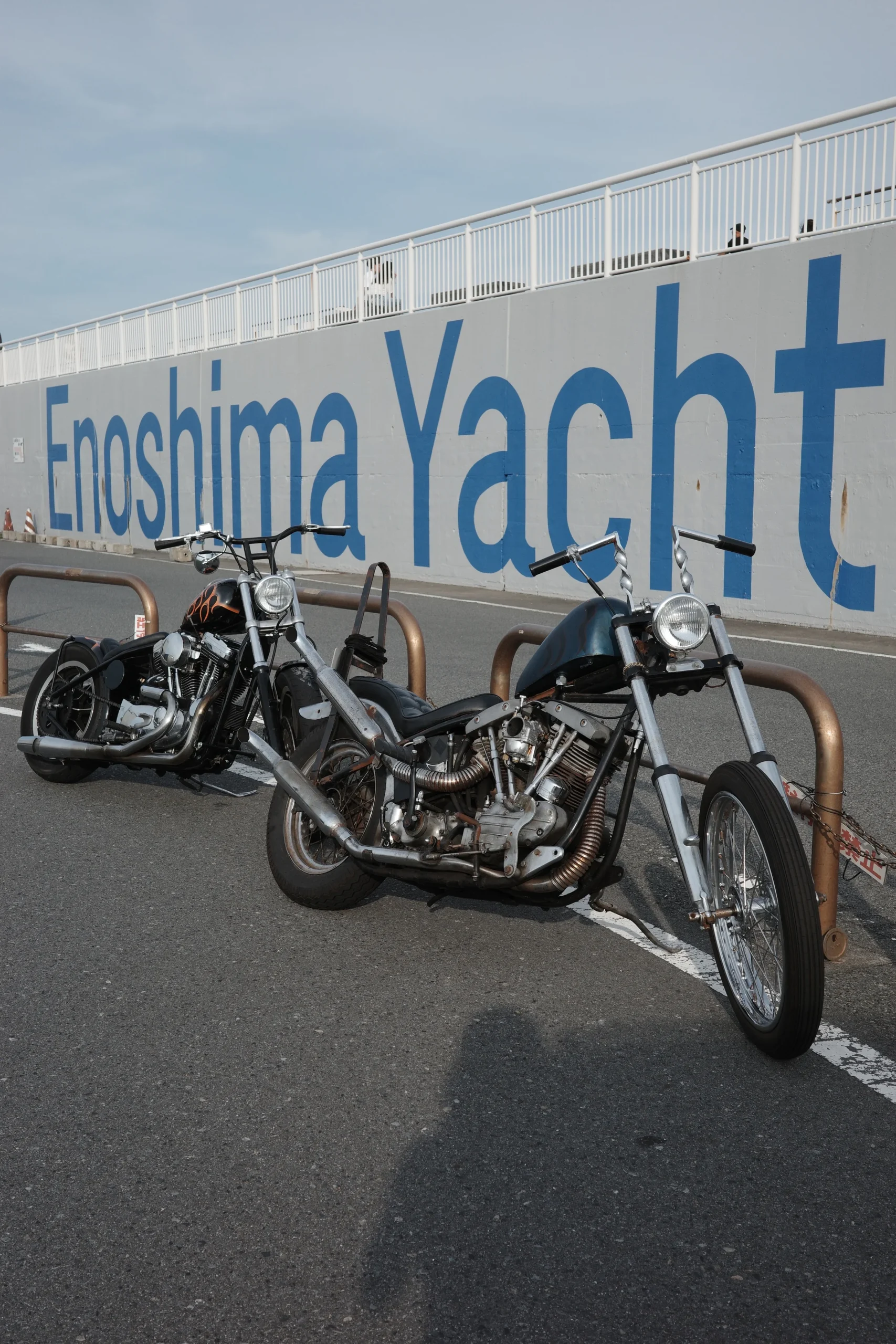 R0005363 2のコピー_1756214000